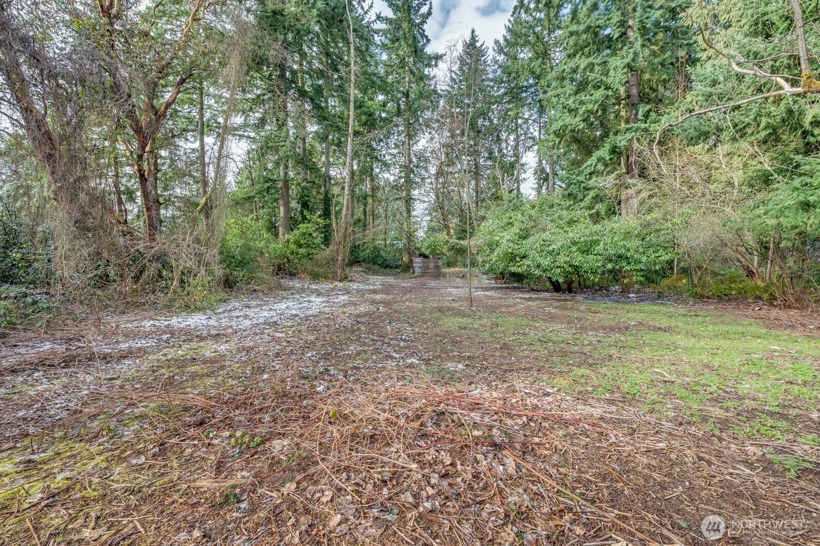 13020 1st Avenue NE, Seattle, WA 98125