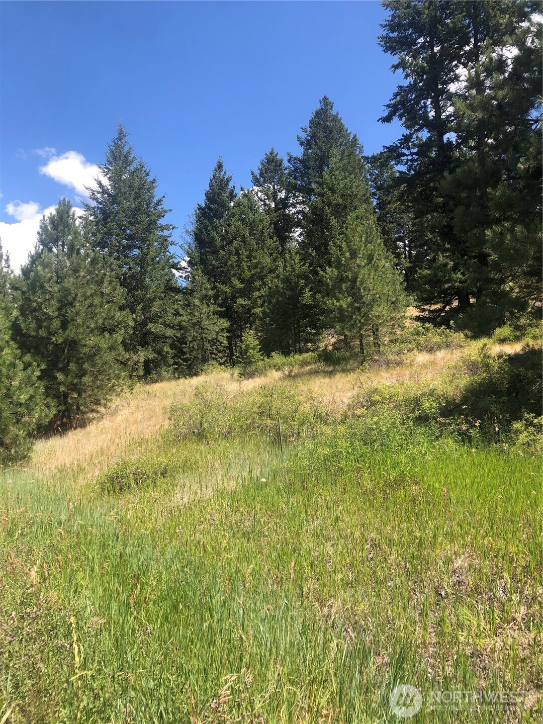 22 Pine Chee Road , Oroville, WA 98844