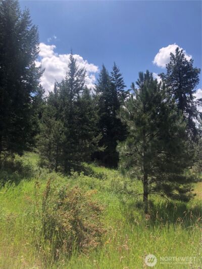 22 Pine Chee Road , Oroville, WA 98844 - Photo 3