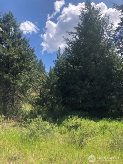 22 Pine Chee Road , Oroville, WA 98844 - Photo 4