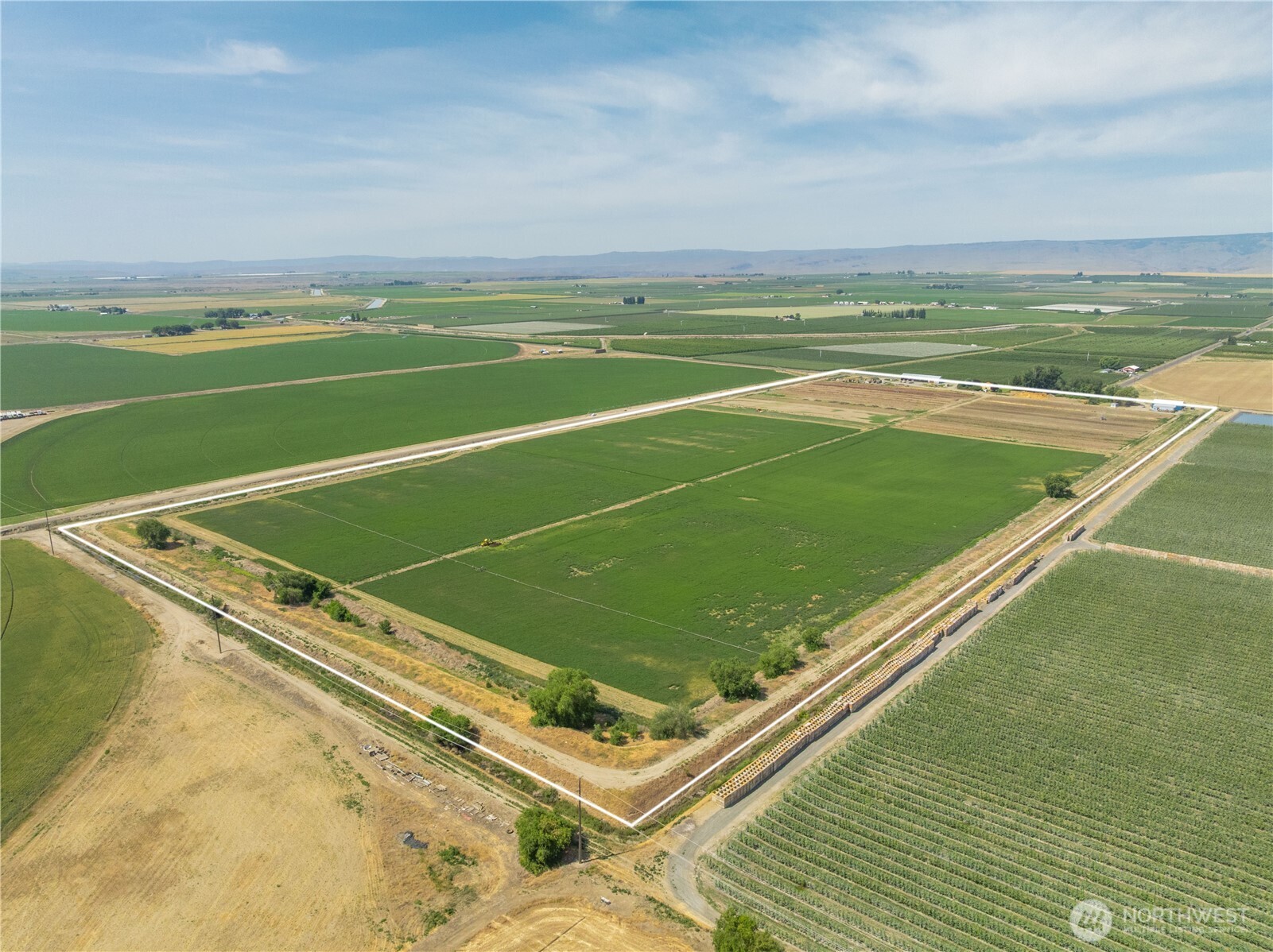 7865 Rd R NW, Quincy, WA 98848