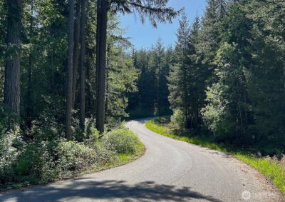 0 Woodland Lane , Freeland, WA 98249 - Photo 11