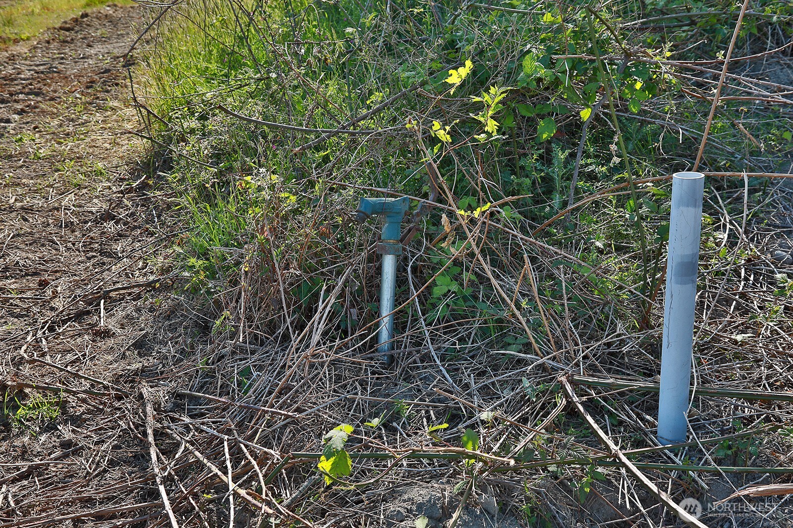 0 Woodland Lane , Freeland, WA 98249