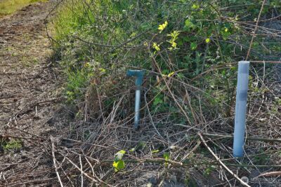 0 Woodland Lane , Freeland, WA 98249 - Photo 13