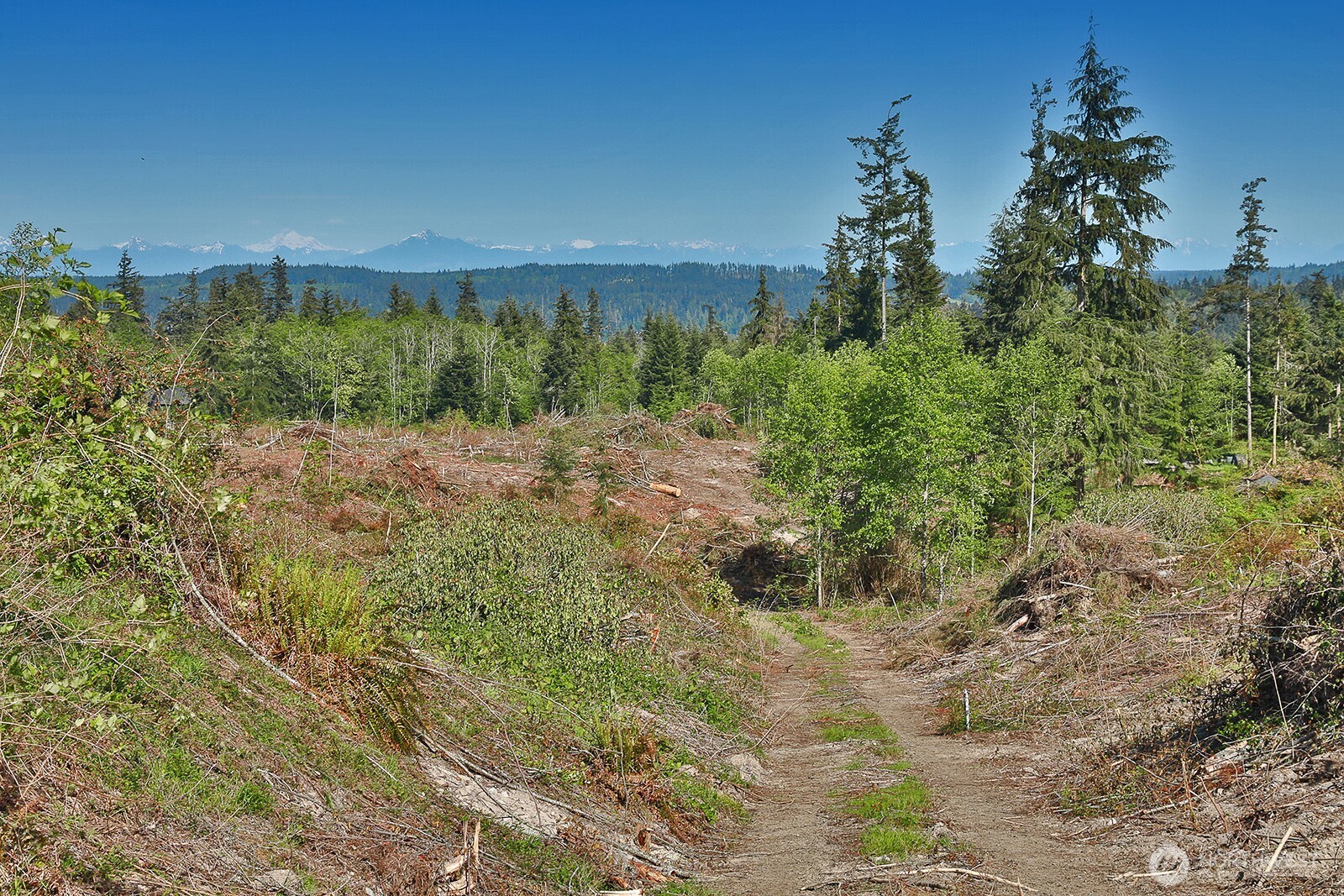 0 Woodland Lane , Freeland, WA 98249