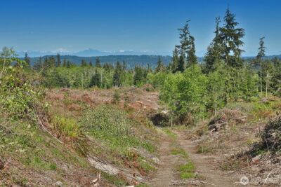 0 Woodland Lane , Freeland, WA 98249 - Photo 15