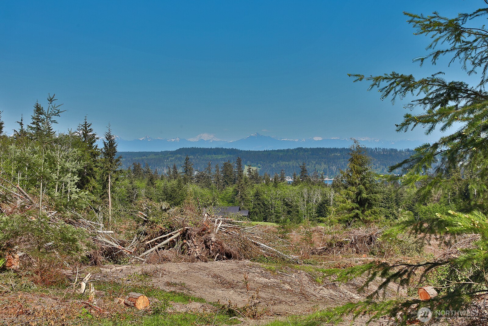 0 Woodland Lane , Freeland, WA 98249