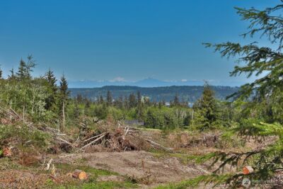 0 Woodland Lane , Freeland, WA 98249 - Photo 16