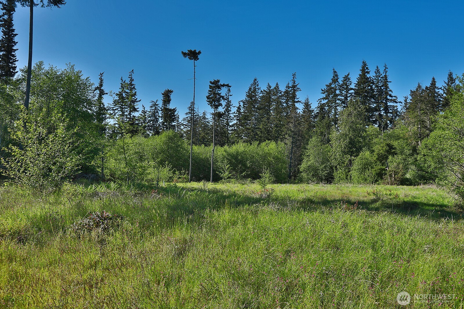 0 Woodland Lane , Freeland, WA 98249