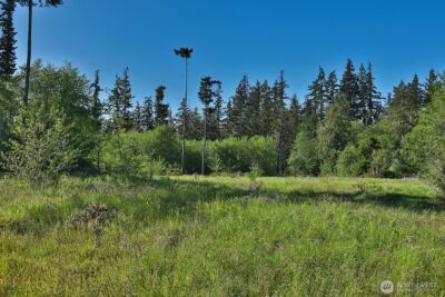 0 Woodland Lane , Freeland, WA 98249 - Photo 18