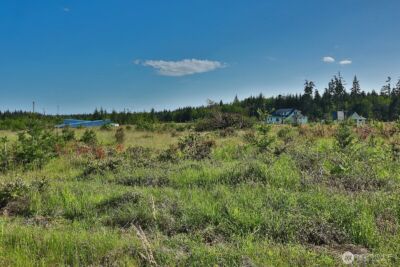 0 Woodland Lane , Freeland, WA 98249 - Photo 20