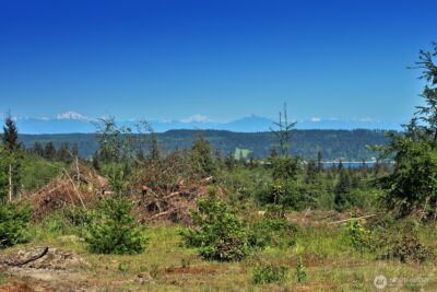 0 Woodland Lane , Freeland, WA 98249 - Photo 3