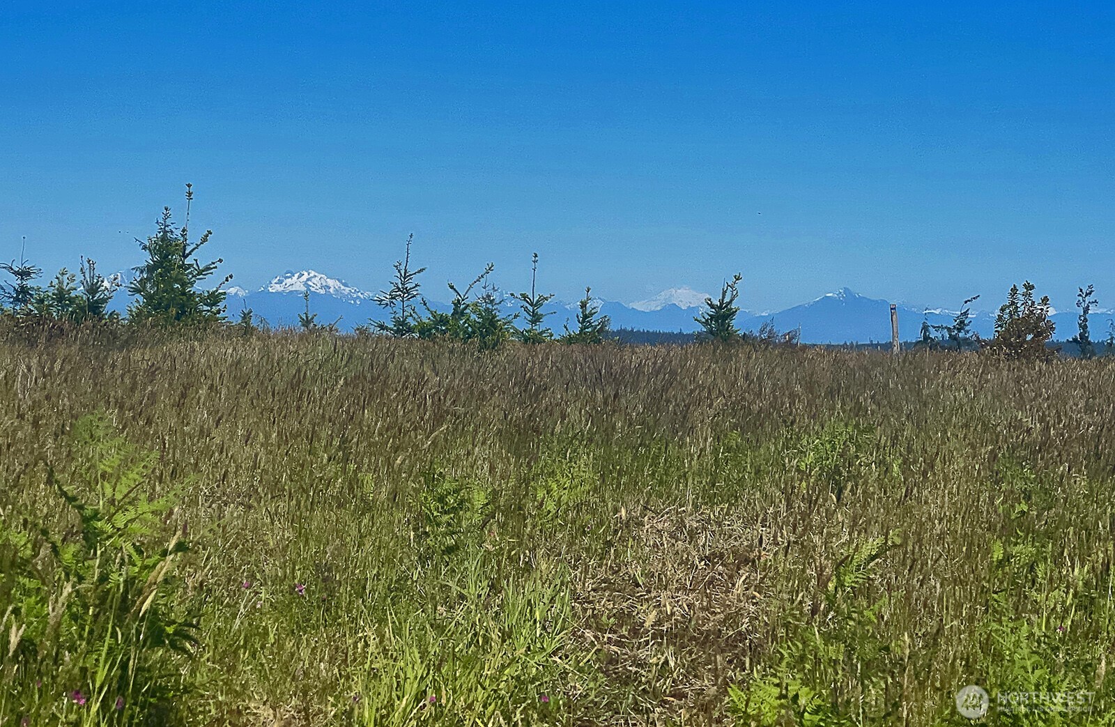 0 Woodland Lane , Freeland, WA 98249