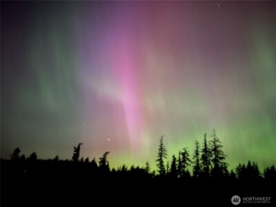 0 Woodland Lane , Freeland, WA 98249 - Photo 34