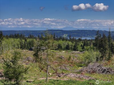 0 Woodland Lane , Freeland, WA 98249 - Photo 38