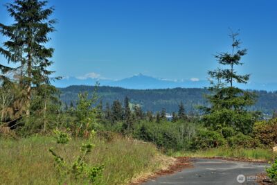 0 Woodland Lane , Freeland, WA 98249 - Photo 4