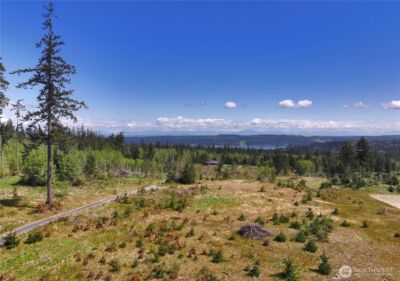 0 Woodland Lane , Freeland, WA 98249 - Photo 5