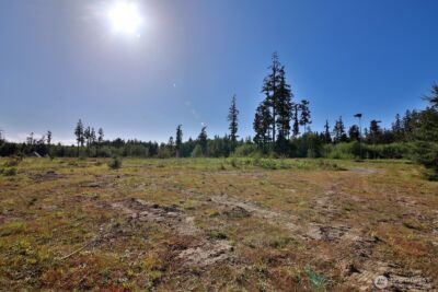 0 Woodland Lane , Freeland, WA 98249 - Photo 6