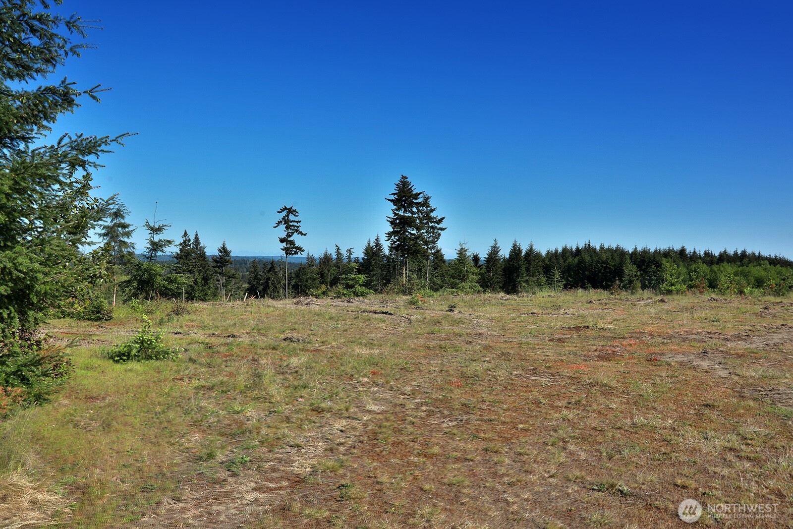 0 Woodland Lane , Freeland, WA 98249