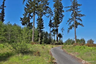 0 Woodland Lane , Freeland, WA 98249 - Photo 8