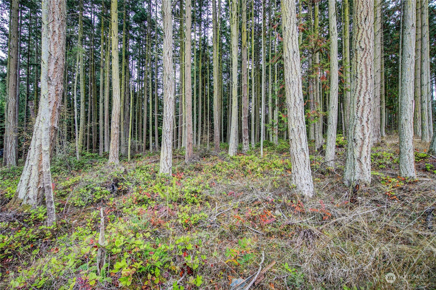 0 53XX Sheridan Street , Port Townsend, WA 98368