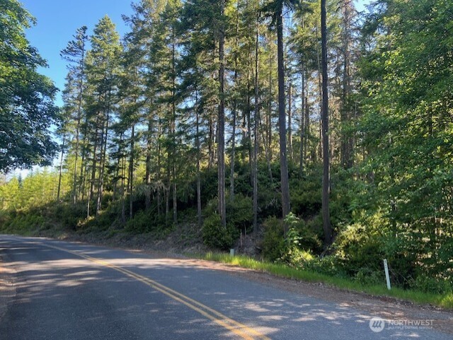 0 NE Tahuya Blacksmith Road , Belfair, WA 98528