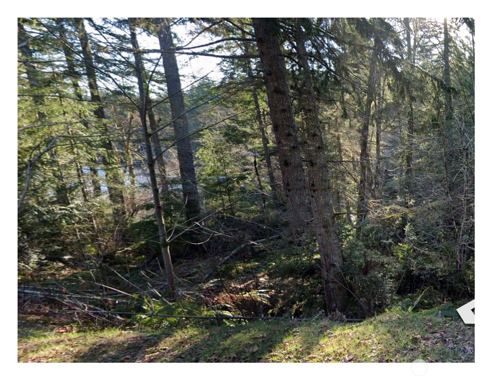 0 NE Tahuya Blacksmith Road , Belfair, WA 98528