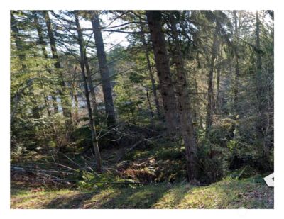 0 NE Tahuya Blacksmith Road , Belfair, WA 98528 - Photo 2
