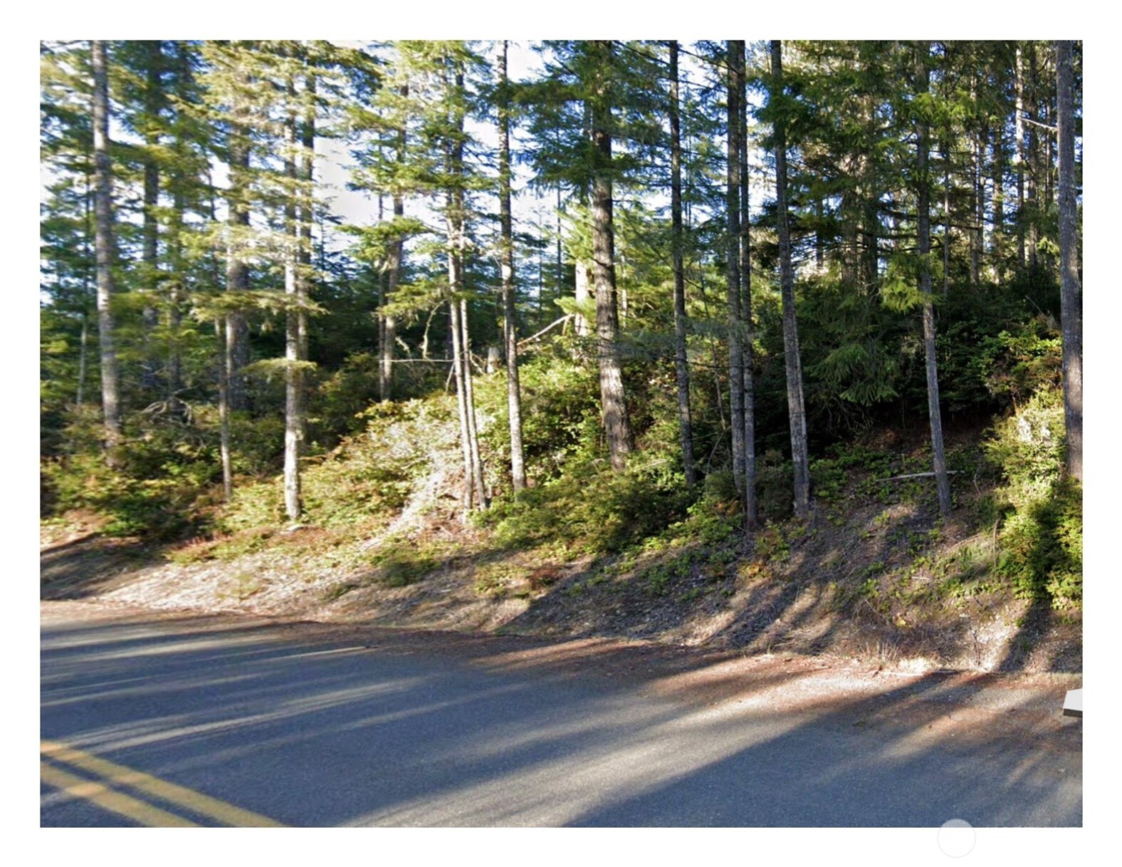 0 NE Tahuya Blacksmith Road , Belfair, WA 98528