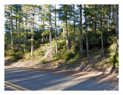 0 NE Tahuya Blacksmith Road , Belfair, WA 98528 - Photo 3