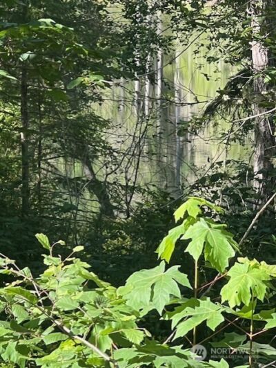 0 NE Tahuya Blacksmith Road , Belfair, WA 98528 - Photo 4