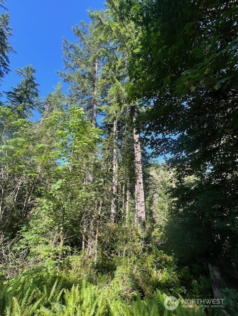 0 NE Tahuya Blacksmith Road , Belfair, WA 98528