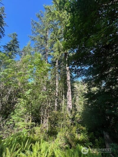 0 NE Tahuya Blacksmith Road , Belfair, WA 98528 - Photo 5