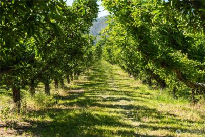 500 Wapato Lake Road , Manson, WA 98831 - Photo 23