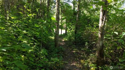 0 Woodland Drive , Port Townsend, WA 98368 - Photo 11