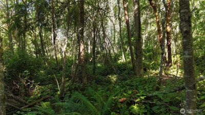 0 Woodland Drive , Port Townsend, WA 98368 - Photo 9