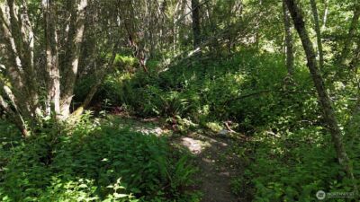 0 Woodland Drive , Port Townsend, WA 98368 - Photo 10