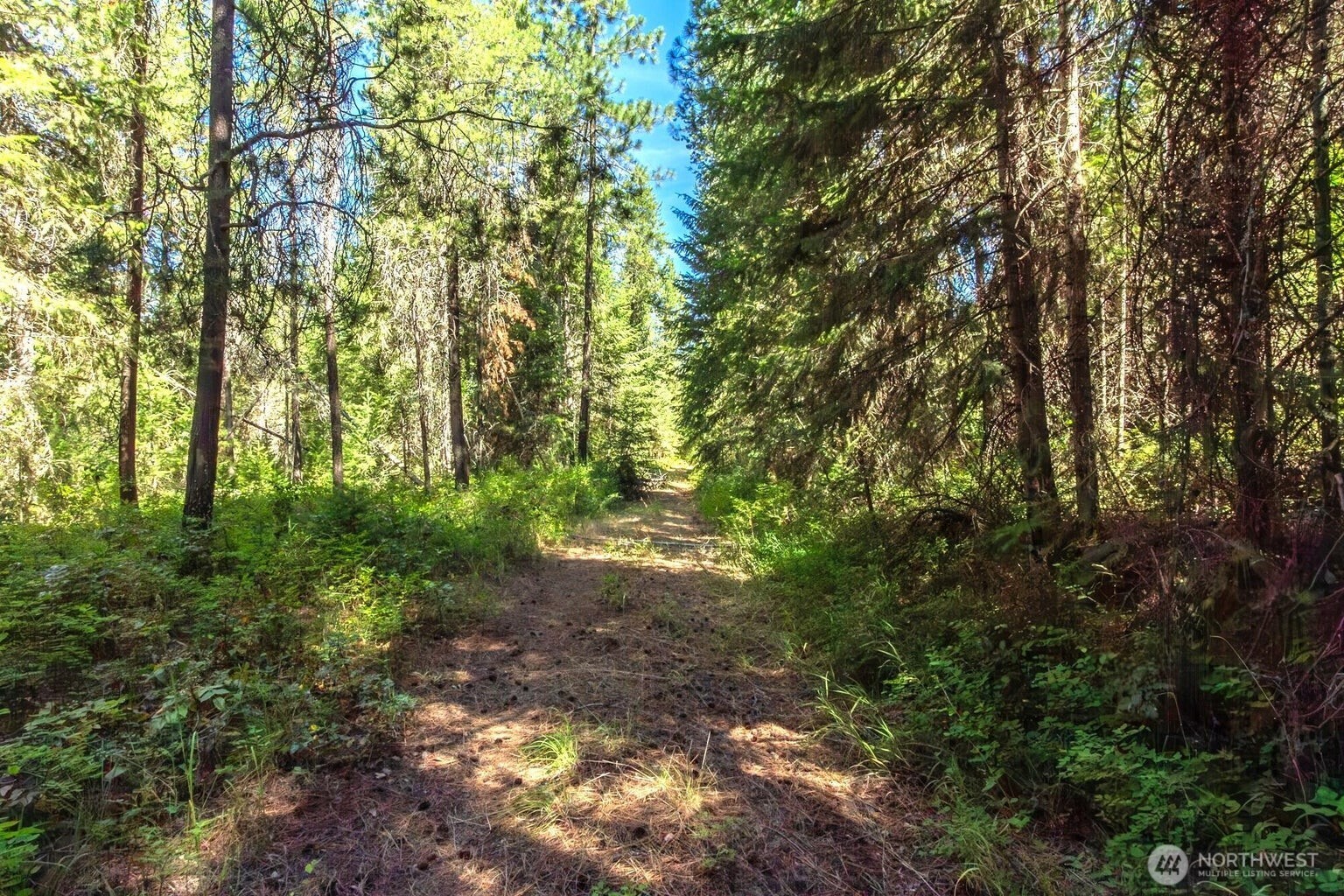 2443 Eagle Lambert Road , Chewelah, WA 99109