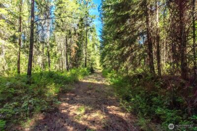 2443 Eagle Lambert Road , Chewelah, WA 99109 - Photo 11