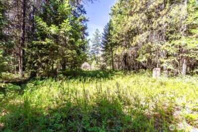 2443 Eagle Lambert Road , Chewelah, WA 99109 - Photo 12