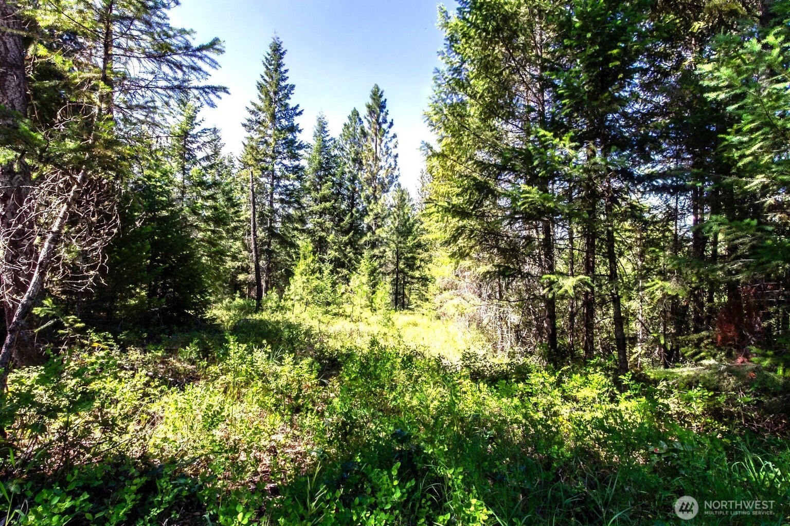 2443 Eagle Lambert Road , Chewelah, WA 99109