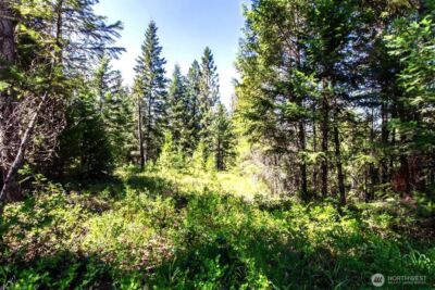 2443 Eagle Lambert Road , Chewelah, WA 99109 - Photo 13