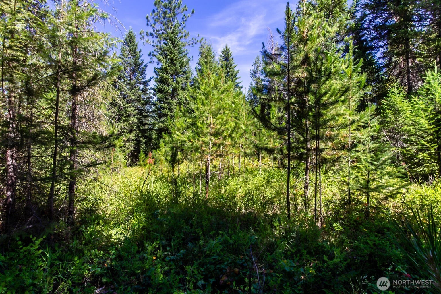 2443 Eagle Lambert Road , Chewelah, WA 99109