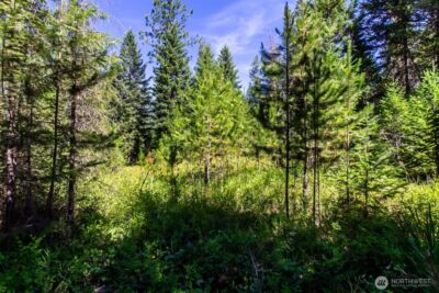 2443 Eagle Lambert Road , Chewelah, WA 99109 - Photo 14