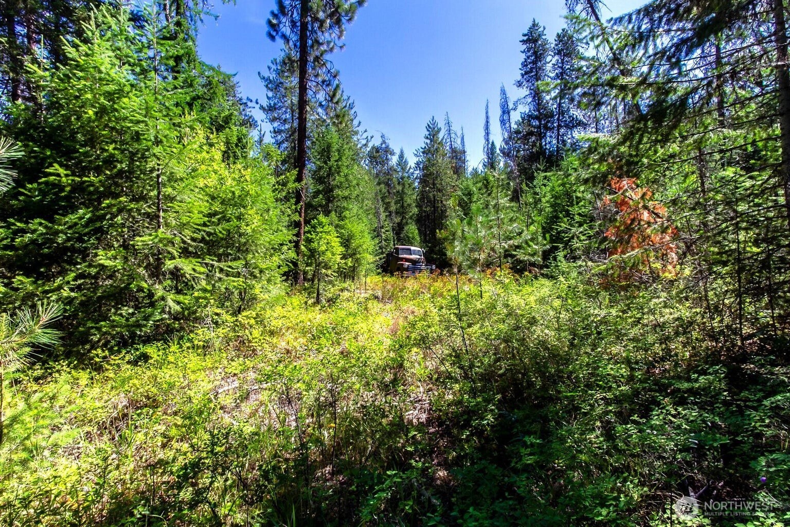 2443 Eagle Lambert Road , Chewelah, WA 99109