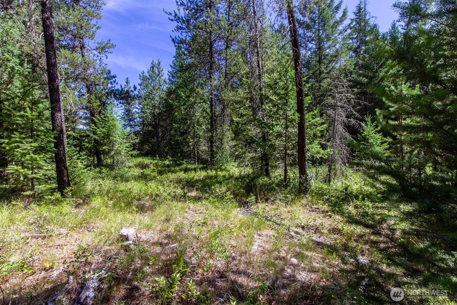 2443 Eagle Lambert Road , Chewelah, WA 99109