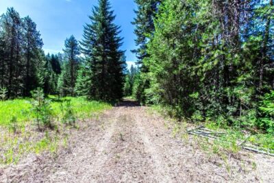 2443 Eagle Lambert Road , Chewelah, WA 99109 - Photo 17