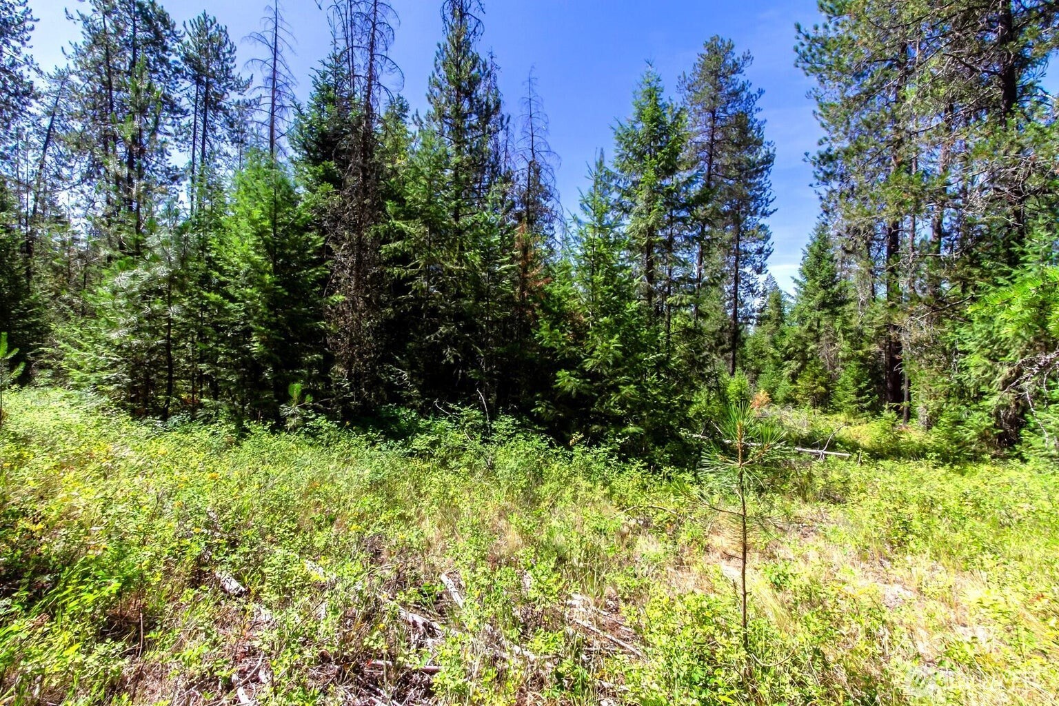 2443 Eagle Lambert Road , Chewelah, WA 99109