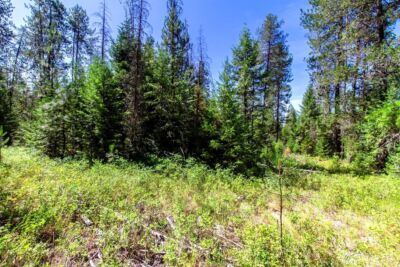 2443 Eagle Lambert Road , Chewelah, WA 99109 - Photo 18