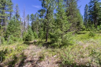 2443 Eagle Lambert Road , Chewelah, WA 99109 - Photo 21